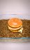 What Happens If You Give a Big Mac to Mealworms?