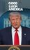Trump's DC Takeover