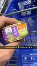 bunny | Search Snapchat Creators, Filters and Lenses