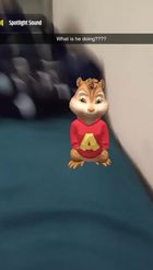 Preview for a Spotlight video that uses the Alvin Chipmunk Lens
