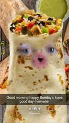 Preview for a Spotlight video that uses the Burrito Lens