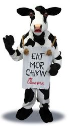 Preview for a Spotlight video that uses the Chick-fil-A Cow Lens