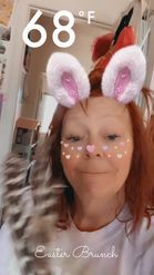Preview for a Spotlight video that uses the Cute Easter Bunny Lens