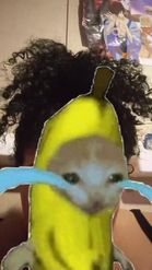 Preview for a Spotlight video that uses the Crying banana cat Lens