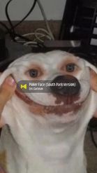 Preview for a Spotlight video that uses the smile dog forced Lens
