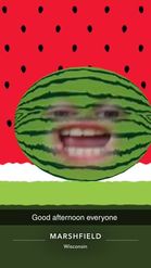 Preview for a Spotlight video that uses the WaterMelon Lens