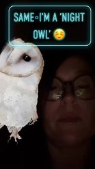 Preview for a Spotlight video that uses the Owl On My shoulder Lens