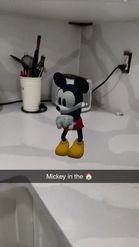 Preview for a Spotlight video that uses the Mickey Dance Lens
