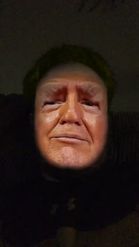 Preview for a Spotlight video that uses the Donald Trump Lens