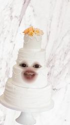 Preview for a Spotlight video that uses the White Wedding Cake Lens