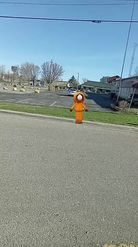 Preview for a Spotlight video that uses the Kenny Mccormick Lens