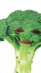 Preview for a Spotlight video that uses the broccoli head Lens