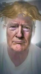 Preview for a Spotlight video that uses the Donald Trump Hair Lens