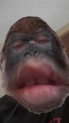 Preview for a Spotlight video that uses the Gorilla Face Lens