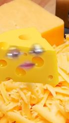 Preview for a Spotlight video that uses the Cheese Lens