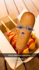 Preview for a Spotlight video that uses the Corndog Face Lens