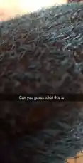 Video by @walkerj2024 with original sound