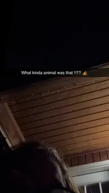 Kay (@outdoekay) | Snapchat Stories, Spotlight & Lenses