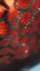 This video offers a captivating behind-the-scenes look at the creative process of Moonlight Concept's Winter & Ramadan Collection. It begins with a close-up of a luxurious red fabric, transitions to a designer sketching a garment, and concludes with the creation of a mannequin outfit. This visual journey highlights the brand's dedication to craftsmanship and artistry. by @moonlight_q6r with Original Sound by Snapchatter