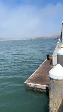 Luna 🌙 (@lunakyzz) | Snapchat Stories, Spotlight & Lenses