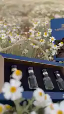 Video by @adhbalteeb with Original Sound by adhbalteeb