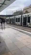 Video by @moiseyez0 with original sound