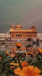 Preview for a Spotlight video that uses the GOLDEN TEMPLE Lens