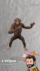 Preview for a Spotlight video that uses the Monkey Dancing Lens