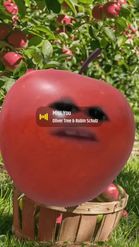 Preview for a Spotlight video that uses the Apple Head Lens
