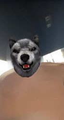 Preview for a Spotlight video that uses the Body Wolf Lens
