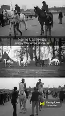 Happy Year of The Horse🐴 by @thebeatles with original sound