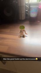 Preview for a Spotlight video that uses the Dancing Groot Lens