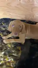 The Blonde Brewer (@theblondebrewer) | Snapchat Stories, Spotlight & Lenses