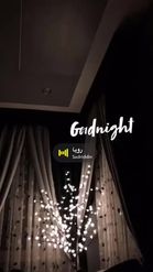 Preview for a Spotlight video that uses the Good night 1 Lens
