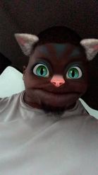 Preview for a Spotlight video that uses the Cartoon Cat Lens