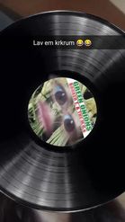 Preview for a Spotlight video that uses the Green Onion Vinyl Lens