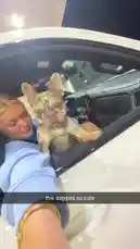 katie sigmond (@katie_sigmond) | Snapchat Stories, Spotlight & Lenses