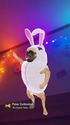 Preview for a Spotlight video that uses the Easter Pug Lens