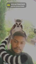 Preview for a Spotlight video that uses the Lemur Hugs Lens