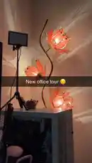 Zyla Vale (@zylavale) | Snapchat Stories, Spotlight & Lenses