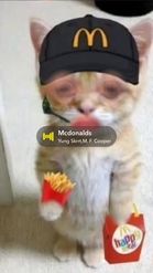 Preview for a Spotlight video that uses the Mcdonalds Cat Lens