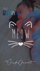 Preview for a Spotlight video that uses the Meow Cute Lens