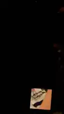 Video by @syncroniczz with original sound