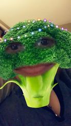 Preview for a Spotlight video that uses the Festive Broccoli Lens