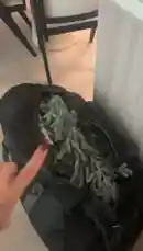 Mia Huffman (@miahuffmann) | Snapchat Stories, Spotlight & Lenses