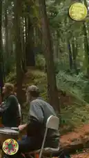 Experience the serene beauty of the Daisy Chain Fields Music Festival 2024 with this captivating live performance. A band delivers an intimate acoustic set amidst the tranquil redwood forest, showcasing their talent on guitar, violin, and bass. This authentic music event captures the essence of a peaceful outdoor concert. by @daisychainfield with Original Sound by daisychainfield