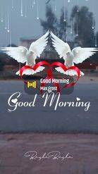Preview for a Spotlight video that uses the Good Morning Birds Lens