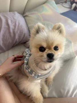 Cluelo (@cluelooo) | Snapchat Stories, Spotlight & Lenses