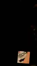 Video by @syncroniczz with original sound