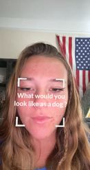 Preview for a Spotlight video that uses the Which Dog Are You Lens